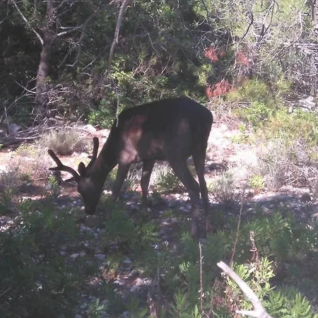 Apartmán Ap3-obala *